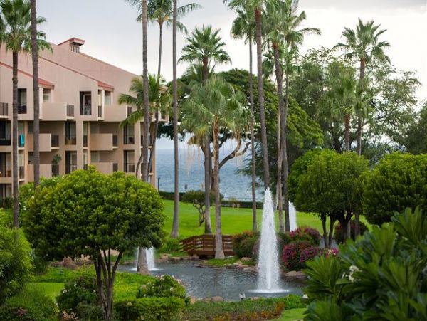 Wailea Condo 896151