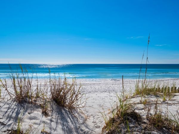 Miramar Beach Gulf Front Vacation Rental | Luxury 5-Bedroom Townhome