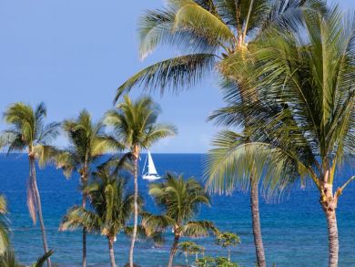 Kohala Coast - Big Island Condo 896219 - additional view, photo 3