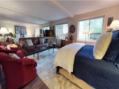 Vail Lionshead Home 896264