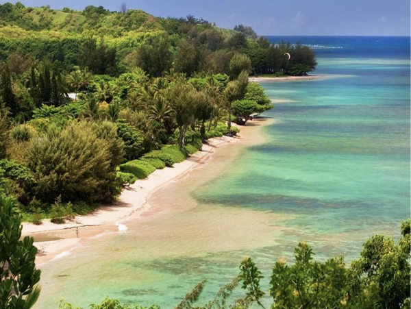 Princeville Kauai Luxury Beachfront House and Guest House
