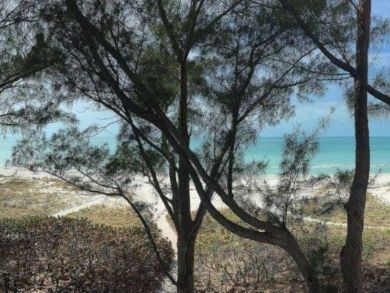 DIRECT GULF VIEWS INDIAN SHORES 2 BEDROOM CONDO - additional view, photo 3