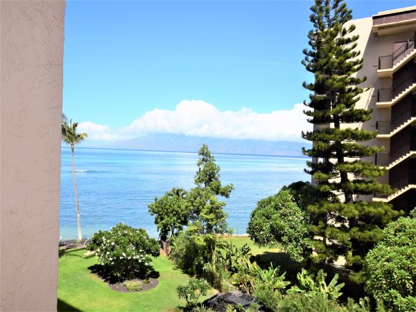 Lahaina Beachfront Studio Communal Pool Sleeps Three Guests