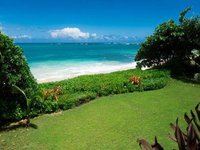 Northshore Oahu Home 896346