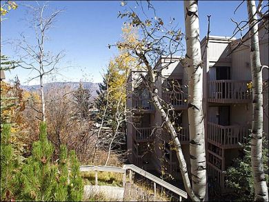 Newly Remodeled Upper VillageSnowmass Vacation home