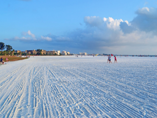 Small Complex in Siesta Key - One Bedroom Units Sleeps 4