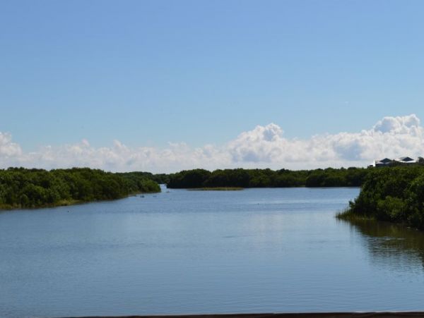 Cedar Key Lovely Rental