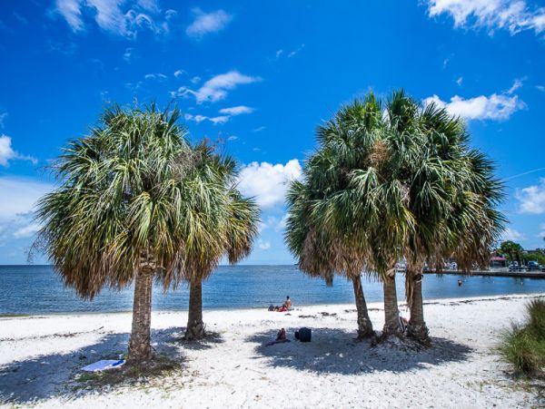 Cedar Key Lovely Rental