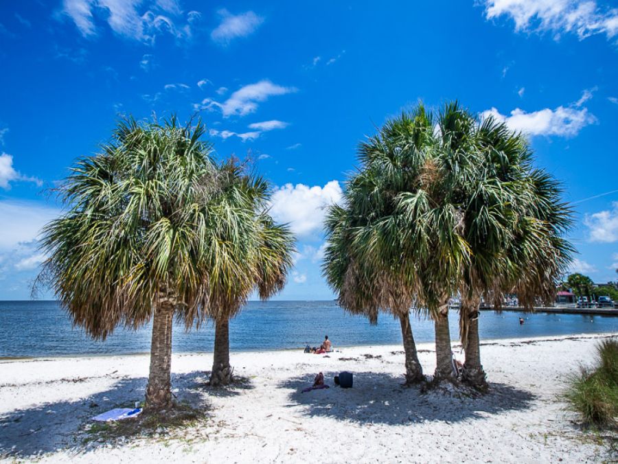 Cedar Key Lovely Rental