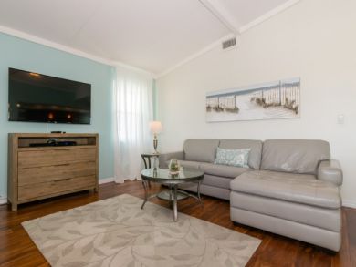 Wall Mounted TV in Living Area