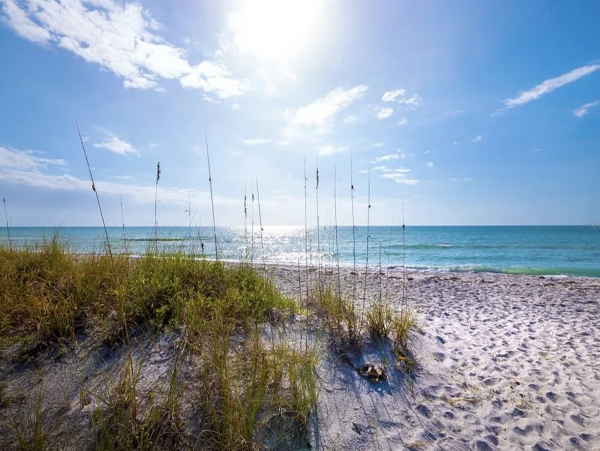 Anna Maria Island Beachfront 7 Bedroom Luxury Vacation Pool Home
