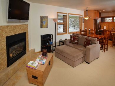 Vail Lionshead Condo 896665