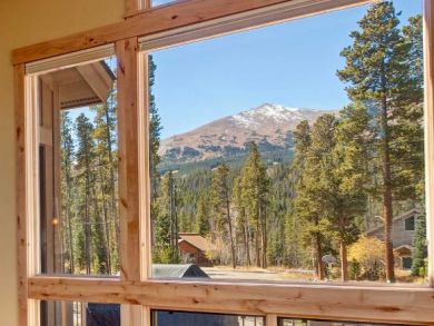 Views of the Mountain