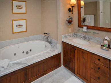 Beaver Creek Bachelor Gulch Condo 896689