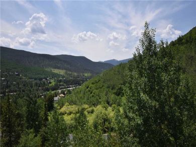 Mountain Views