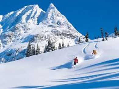 Luxury Four Bedroom Condo Sleeps 8 Shuttle to Ski Lifts