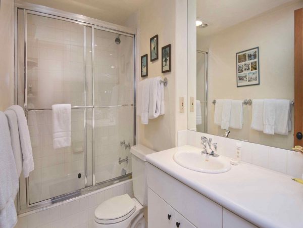 Vail Walk to Lift Vacation Accommodation Three Bedroom