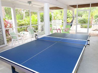 Ping Pong Table