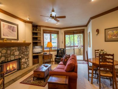 Living Area with Fireplace