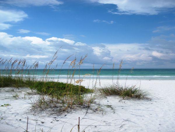 Great Anna Maria Family Rental Short Walk to Beach Private Pool