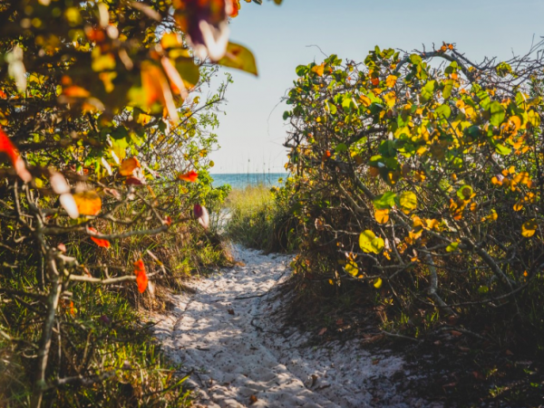 Anna Maria 2 Bedroom Vacation Rental Home with Heated Pool Steps to Beach