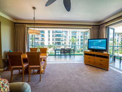 Large Flat Screen TV in Living Area