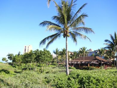 Gardens