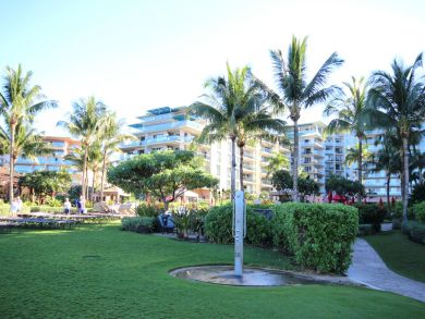 Lush Gardens