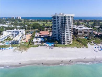 Aerial View of Sandy beach