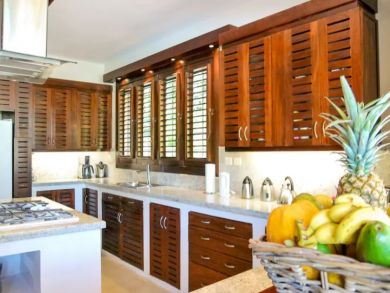 Beachfront Playa Coson  Vacation Rental Balinese Villas