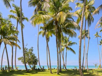 Playa Coson Six Bedroom Villa Rental Vacation Luxury