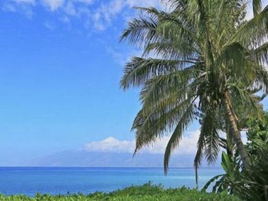 Kahana Home 897172 Kahana Home 897172