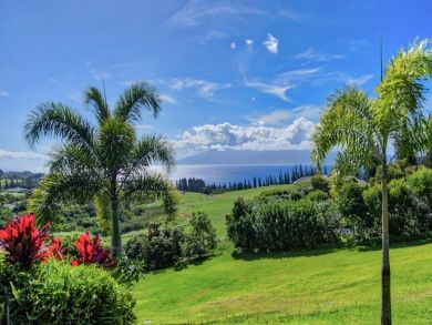 Kapalua Home 897173 Kapalua Home 897173