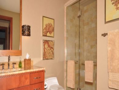 Kapalua Condo 897184