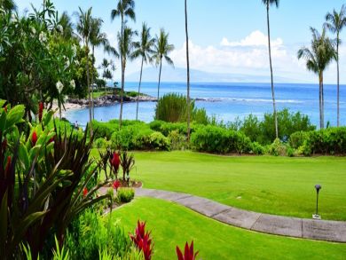 Kapalua Condo 897186