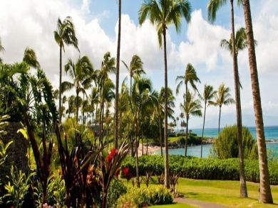 Kapalua Condo 897186