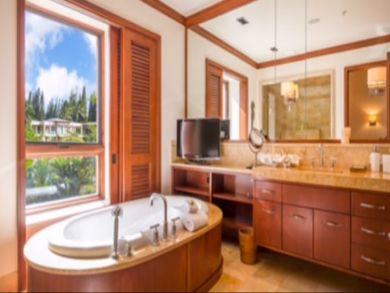 Kapalua Condo 897187