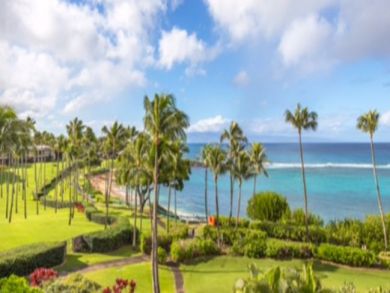Kapalua Condo 897187