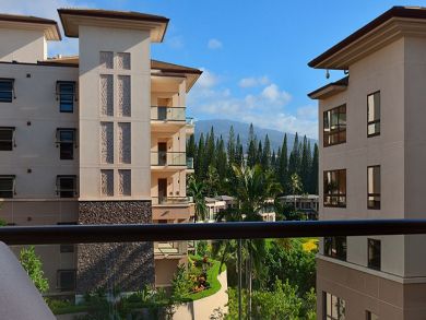 Kapalua Condo 897189 Kapalua Condo 897189