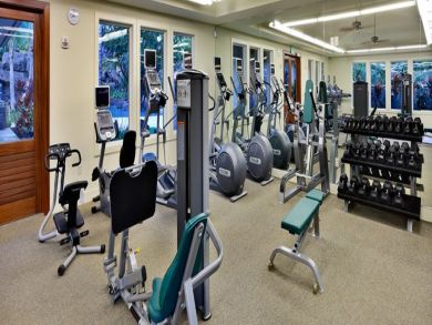 Wailea Condo 897191