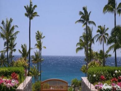 Ocean Views
