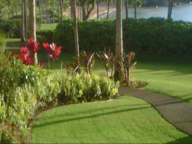 Lush Gardens