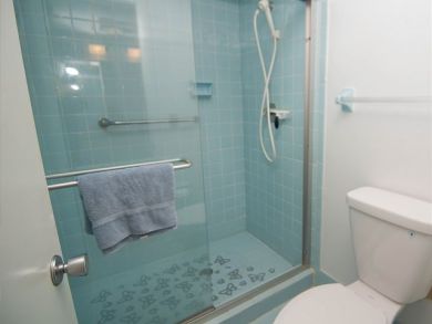 Walk In Shower