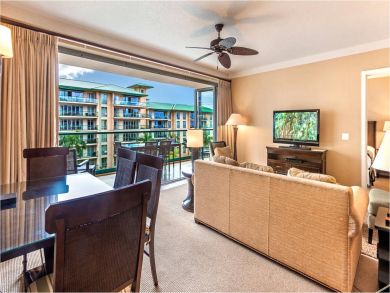 TV in Living Area