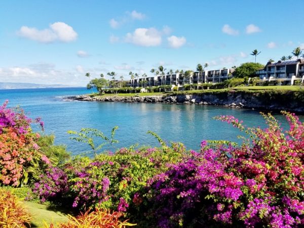 Kapalua Short Walk to Beach Three Bedroom Vacation Home