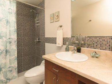 Punta Cana Dominican Republic Two Bedroom with Ocean Views