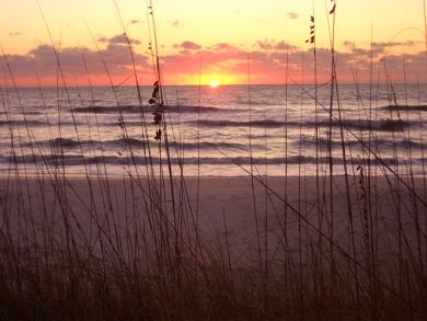Sun Set