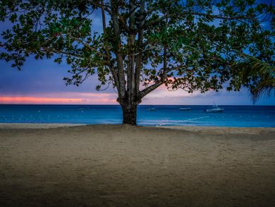 Negril Private Mansion Style Villa
