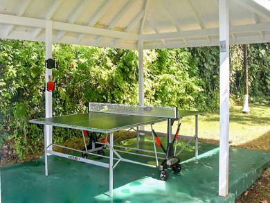 Table Tennis Table Tennis