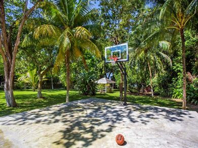 Basket Ball Court Basket Ball Court